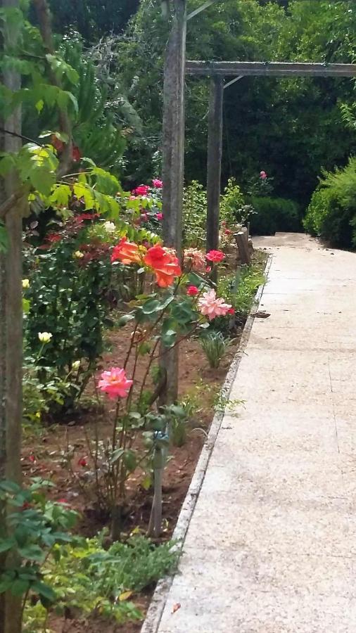 AlquerubimQuinta D'Avo Amelia住宿加早餐旅馆 外观 照片
